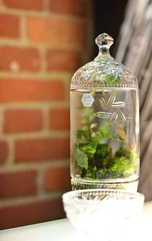 DIY las w słoiku