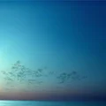 Thalasso Therapy - Odświeżenie i regeneracja inspirowane morzem - Poznaj aromatyczny rytuał czystości - Tesori d’Oriente