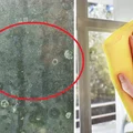 Okna bez smug! Poznaj kilka sprawdzonych trików