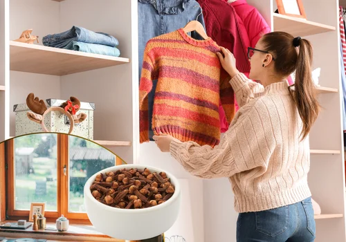 Goździki na parapecie lub w szafie – naturalny odstraszacz moli i komarów!