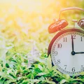 Zmiana czasu na letni w 2025 r. nastąpi wcześniej! Oto, od czego zależy termin przestawiania zegarków