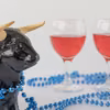 Poznaj idealne wino dla twojego znaku zodiaku!
