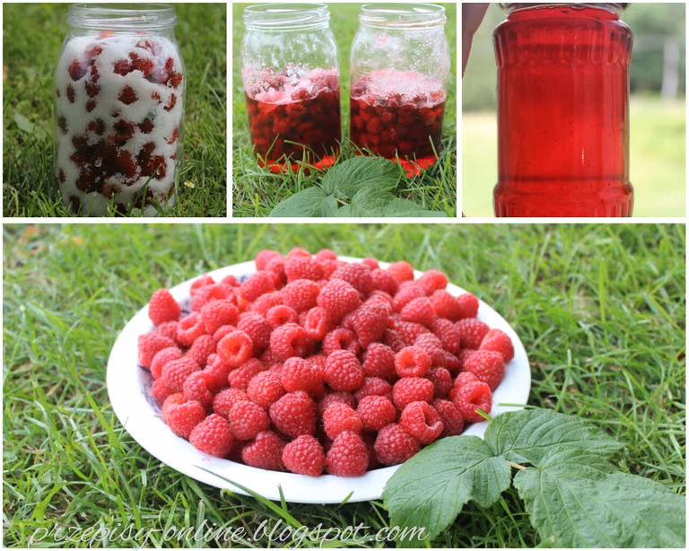 Domowy sok z malin (bez gotowania)