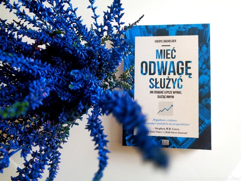 "Mieć odwagę służyć. Jak osiągać lepsze wyniki, służąc innym" - recenzja