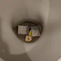 Wiele osób wrzuca torebkę po herbacie do toalety! Sprawdź dlaczego