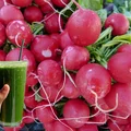 Nie wyrzucaj liści rzodkiewki! Zrób z nich sałatkę, pesto lub koktajl – przepisy, które Cię zaskocz