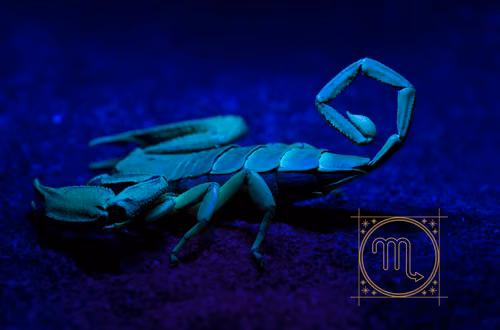 Dlaczego skorpion jest uznawany za najgorszy znak zodiaku?