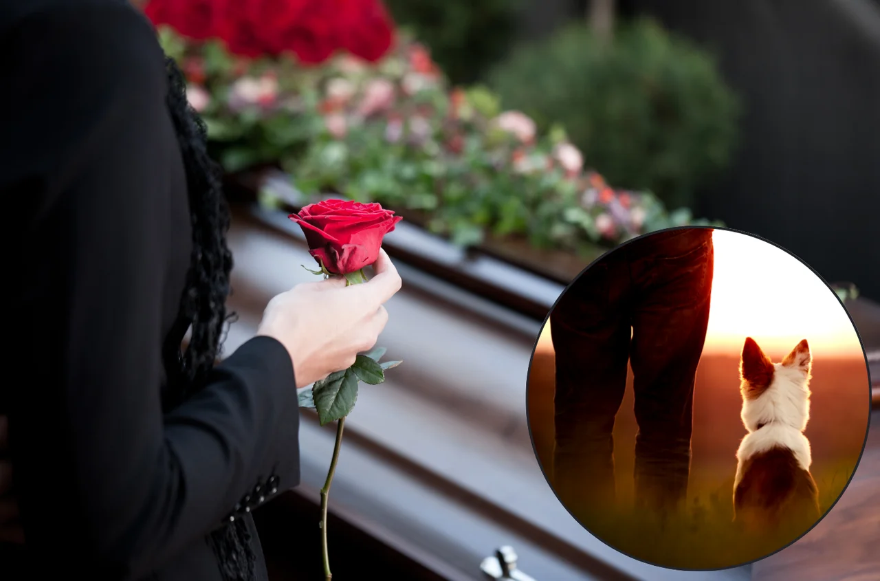To miasto pozwoli pochować się z pupilem? Historyczny zwrot w prawie!