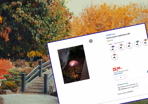 Te urocze solarne lampki z Lidla będą hitem jesieni! Tylko 26 zł, bez kabli i rachunków,  a efekt jak z zaczarowanego ogrodu