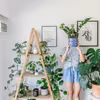 Regał zrobiony z drabiny-DIY