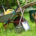 Wrzesień w ogrodzie: Twoja lista zadań i błędów, których musisz unikać!
