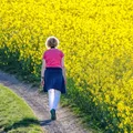 Polacy uciekają na wieś! Przyczyna może Was zaskoczyć!