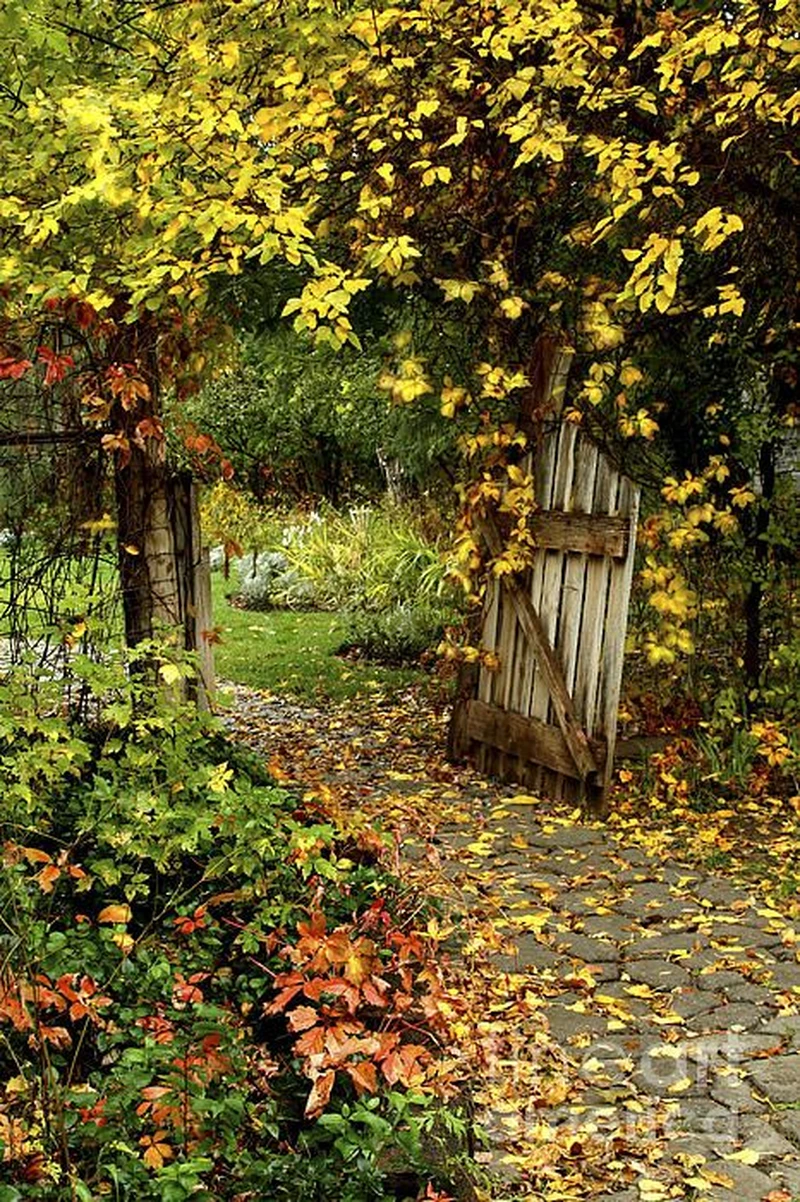 Jesienny widok