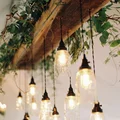 Naturalna lampa- DIY