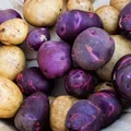 Fioletowe ziemniaki? Zobacz dlaczego warto po nie sięgnąć