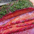 Łosoś marynowany Gravadlax
