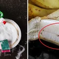 Pozbądź się muszek owocówek raz na zawsze! Poznaj genialne triki