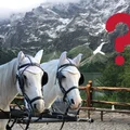 Zmiany na Morskim Oku! Pojawią się hybrydowe wozy konne. Co na to turyści?