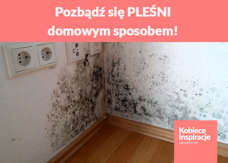 Pozbądź się PLEŚNI domowym sposobem!