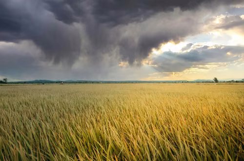 Pilne ostrzeżenie RCB. Te województwa muszą przygotować się na gwałtowne burze!