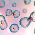 To badanie może uratować Ci życie. Co wykrywa cytologia?