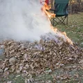 Palenie liści w ogrodzie – kiedy można, a kiedy czeka za to wysoka kara?