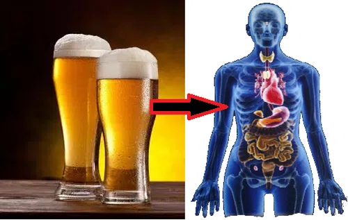 5 Powodów, dla których warto pić szklankę piwa dziennie!