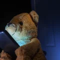 Zakaz Internetu po 22:00! Nowe prawo wprowadza rewolucje!