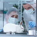 Światowy Dzień Zwierząt Laboratoryjnych – Dzień Refleksji nad Losami Zwierząt w Nauce