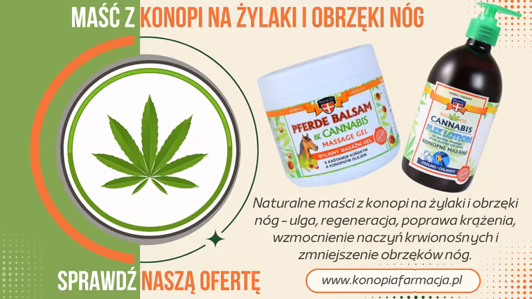 Maści z konopi na żylaki i obrzęki nóg