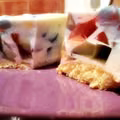 Ciasta bez pieczenia – śmietanowiec
