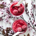 Najprostszy sorbet malinowy