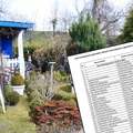 Uwaga działkowcy: Te rośliny mogą zniszczyć ogród i portfel! Lista zakazanych gatunków została poszerzona