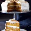 Tort dyniowy