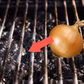 Jak szybko wyczyścić grill? Genialny trik bez wykorzystywania środków chemicznych!