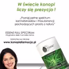 jak dawkować CBD? kiedy zaczyna działać olejek CBD ?