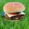 Domowe hamburgery