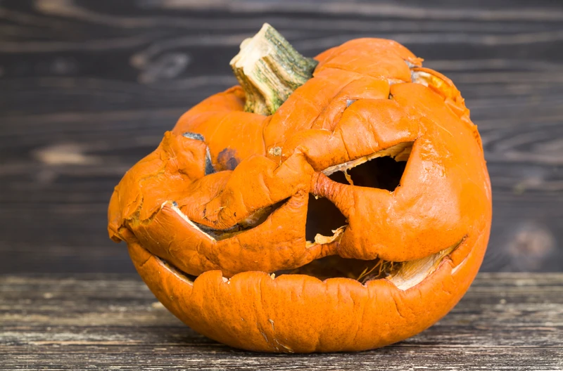 Co zrobić z dynią po Halloween? Nie popełniaj TEGO błędu!