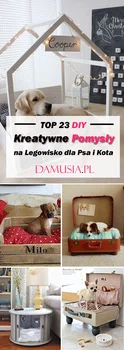 TOP 23 Kreatywne Pomysły na Legowisko dla Psa i Kota