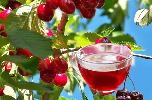 Nie wyrzucaj! Sprawdź, dlaczego szypułki czereśni są cenniejsze niż myślisz