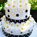 Tort w stokrotki
