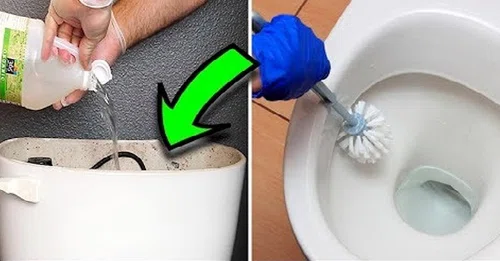 Wlewaj ocet do toalety 2 razy w tygodniu. To zapewni Ci czystość i higienę