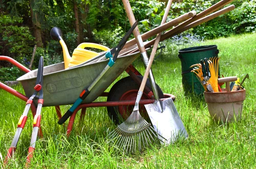 Wrzesień w ogrodzie: Twoja lista zadań i błędów, których musisz unikać!