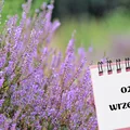 Kartka z kalendarza: 2 września - imieniny, gwiazdy, nietypowe święta! Odkryj sekrety tego dnia!