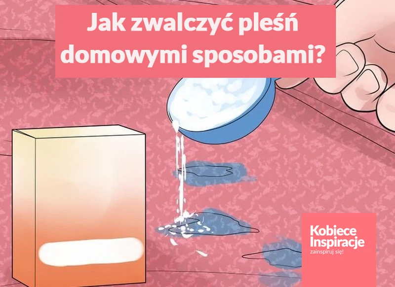 Jak skutecznie zwalczyć pleśń domowymi sposobami?