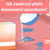 Jak skutecznie zwalczyć pleśń domowymi sposobami?