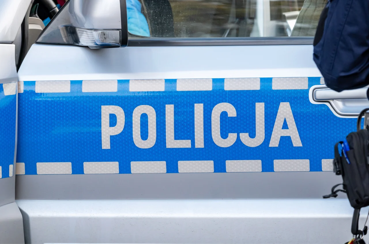 21-latek zatrzymany przez Policję - to on miał skatować i porzucić królika! Historia Marcysia poruszyła tysiące Polaków