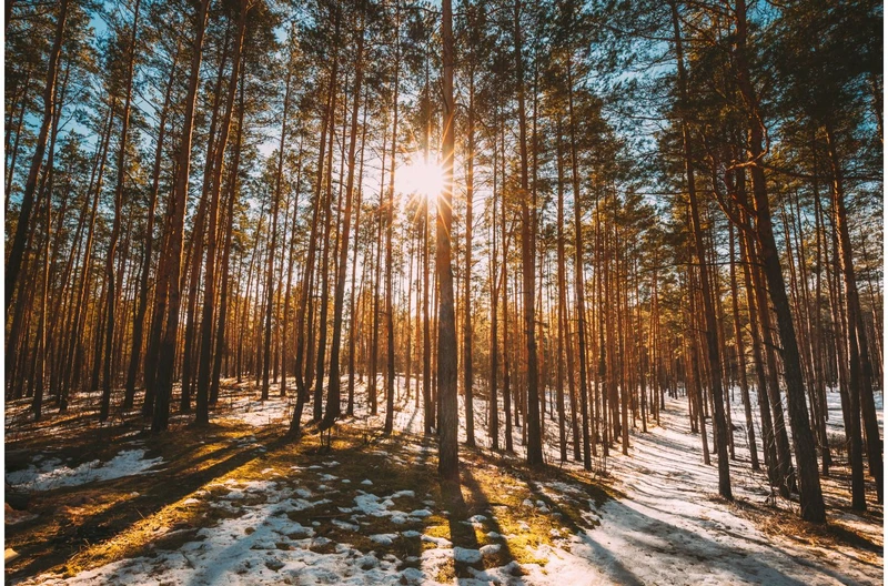 Największa anomalia od 30 lat?! Luty 2025 zapisze się w historii!