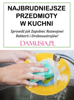 Najbrudniejsze Przedmioty w Kuchni – Sprawdź jak Zapobiec Rozwojowi Bakterii i Drobnoustrojów!