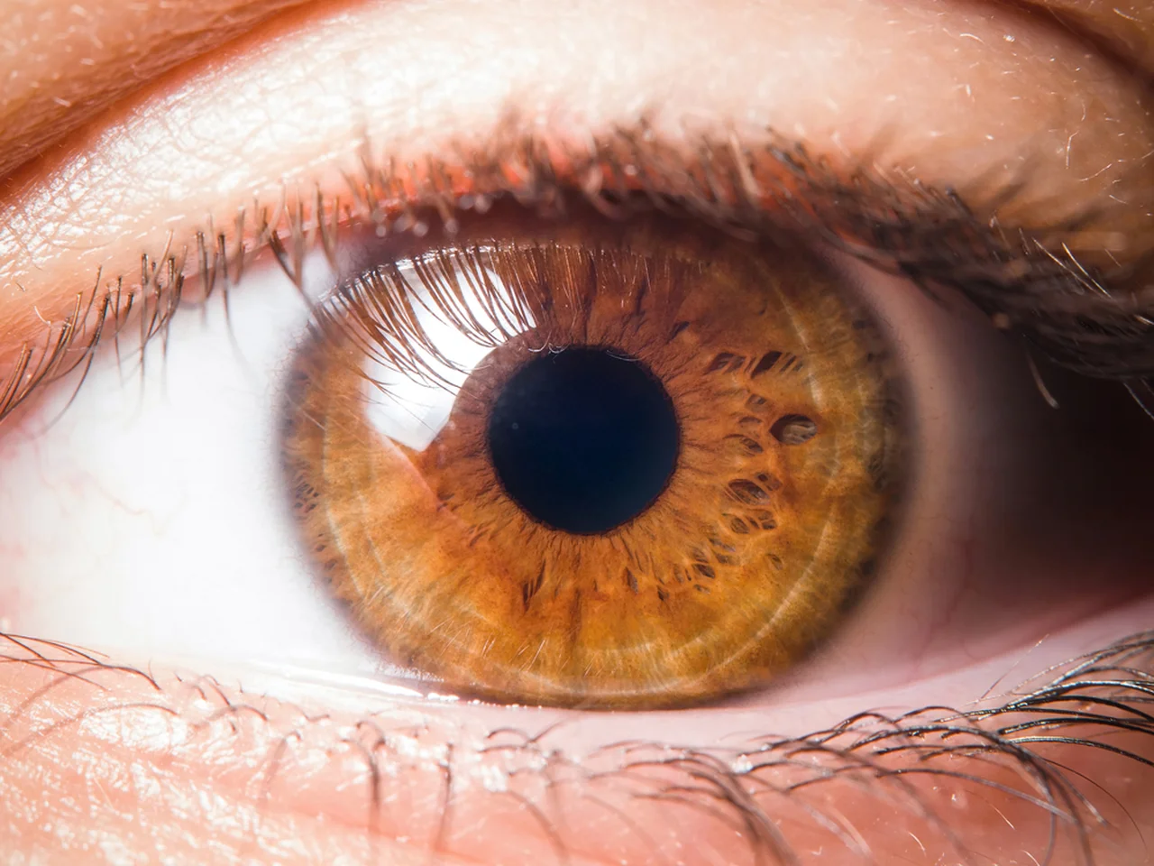Znasz kogoś o brązowych oczach? Sprawdź, jakie cechy się za nimi kryją